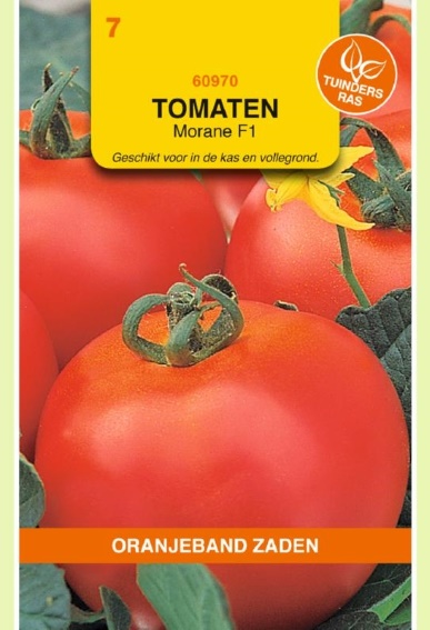 Tomate Morane F1 (Solanum) 30 Samen